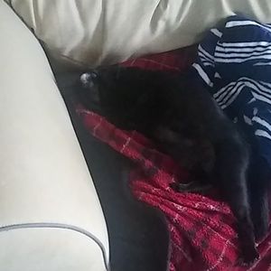 Meet your Posher, Robert